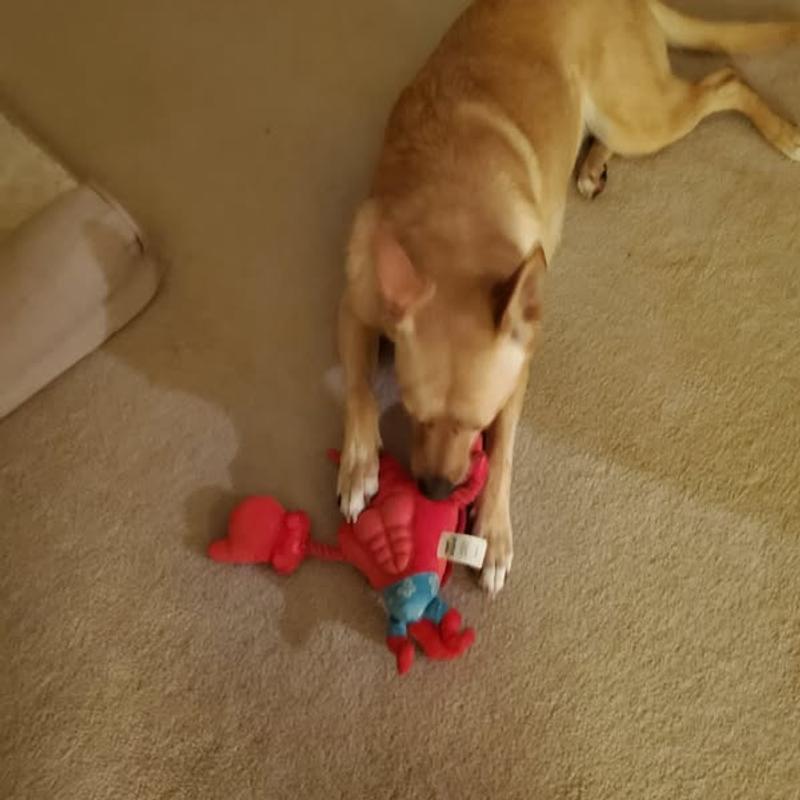 Unboxing & checking out Larry