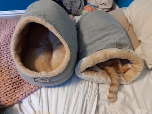 Cat sack compared to cat slipper bed, both are ARMARKAT brand