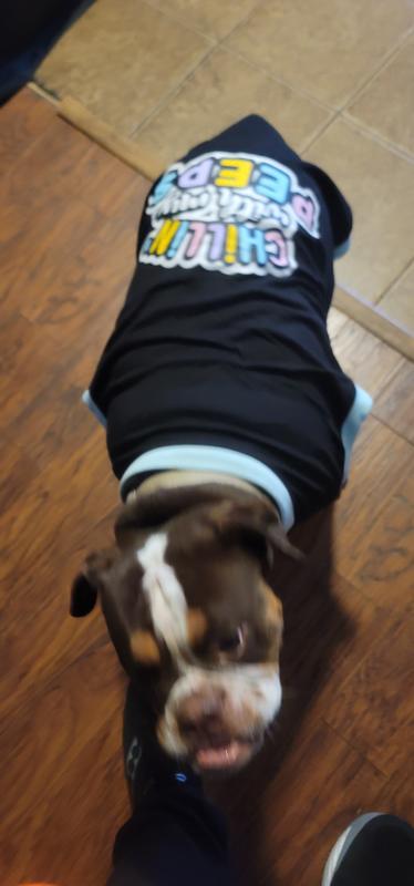 Maddy and her favorite shirt. Out there hanging with her peeps!