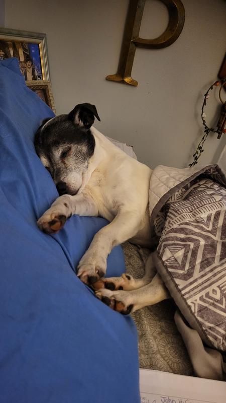 Sweet loving 11 year old baby.