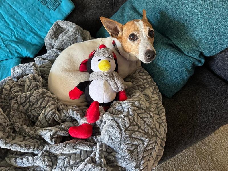 Snugging up to her new toy.