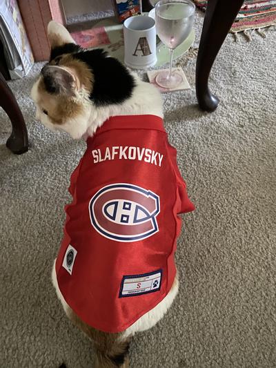 Pets First NHL Montreal Canadiens Mesh Jersey for Dogs and Cats - Licensed  