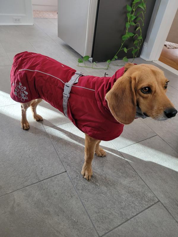 HURTTA Extreme Warmer Insulated Dog Parka, Lingon, 16in