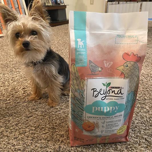 Purina beyond 2024 puppy food