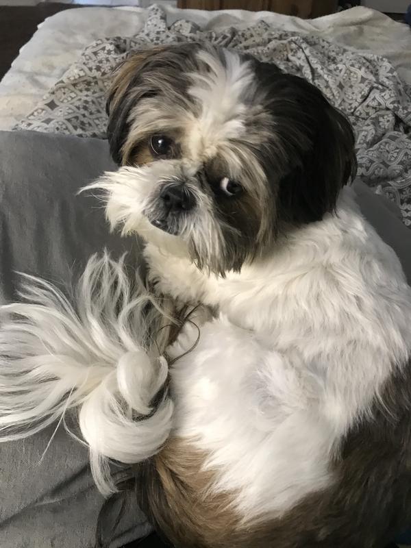 Cooper Relaxing