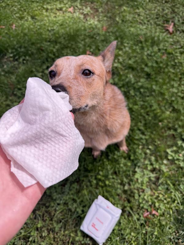 "Smells good" - Belle