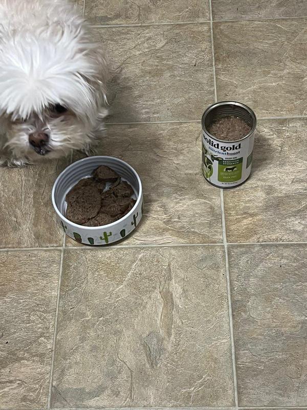 SOLID GOLD Green Cow Beef Tripe Loaf for Picky Eaters GrainFree Wet