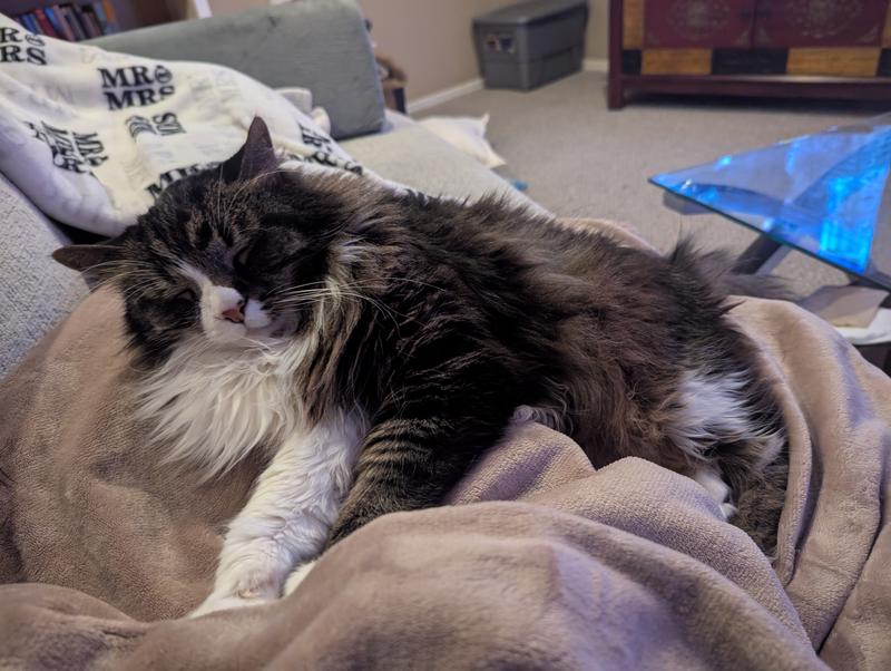 Look at this happy guy after his breakfast!