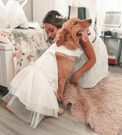 Big dog wedding dress sale