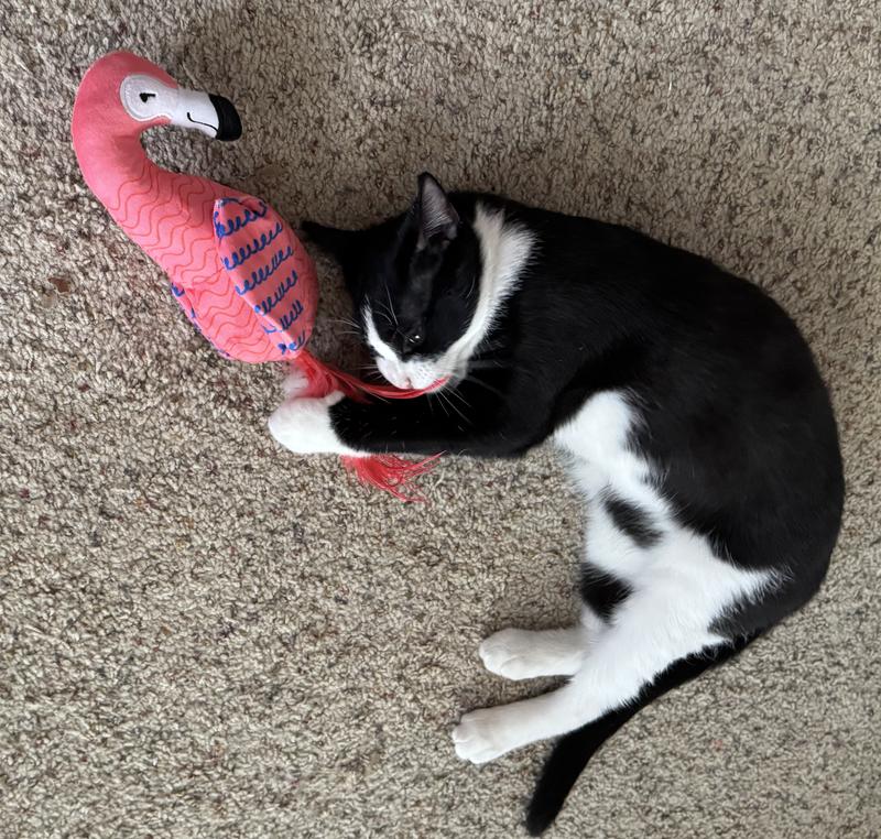Johnny is a feather fan