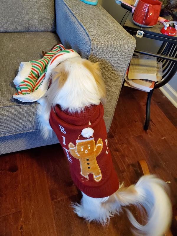 Frisco Bite Me Gingerbread Dog & Cat Christmas Sweater