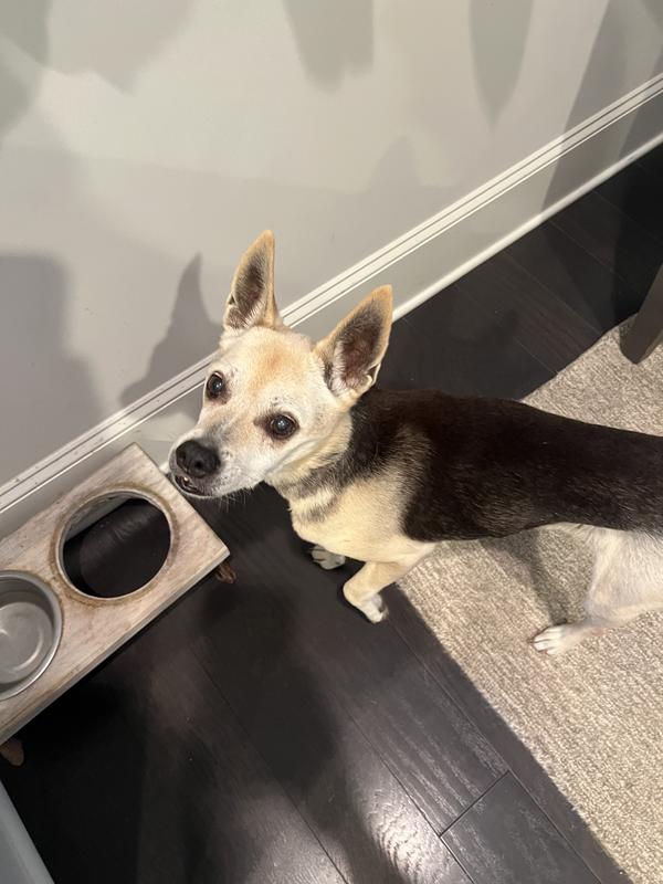 I’m ready dad! Lay it on me!