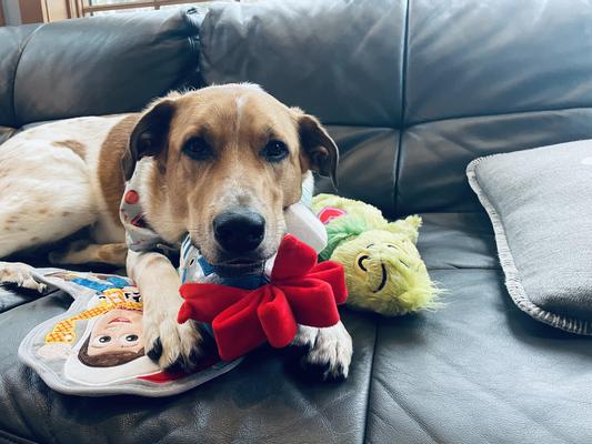 DISNEY PIXAR Christmas Pixar Holiday Woody with Santa Hat Flat Plush Squeaky Dog Toy, Medium/Large