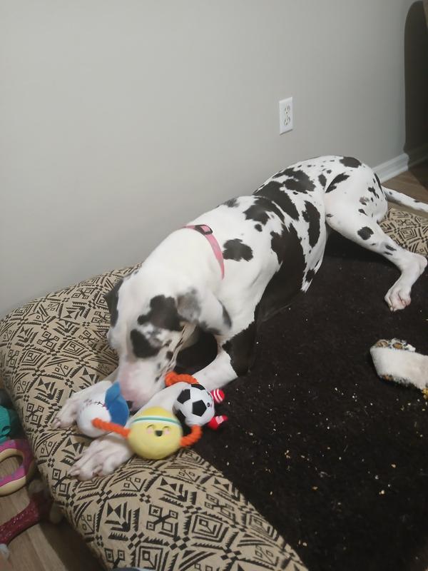 Playing with her 3 ball rope toy.