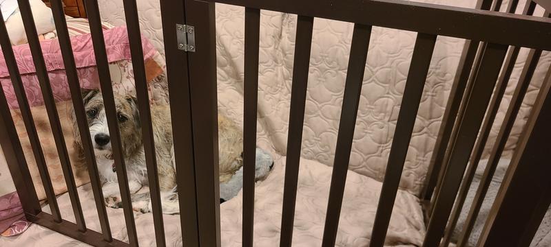 Works for a quick safety solution.