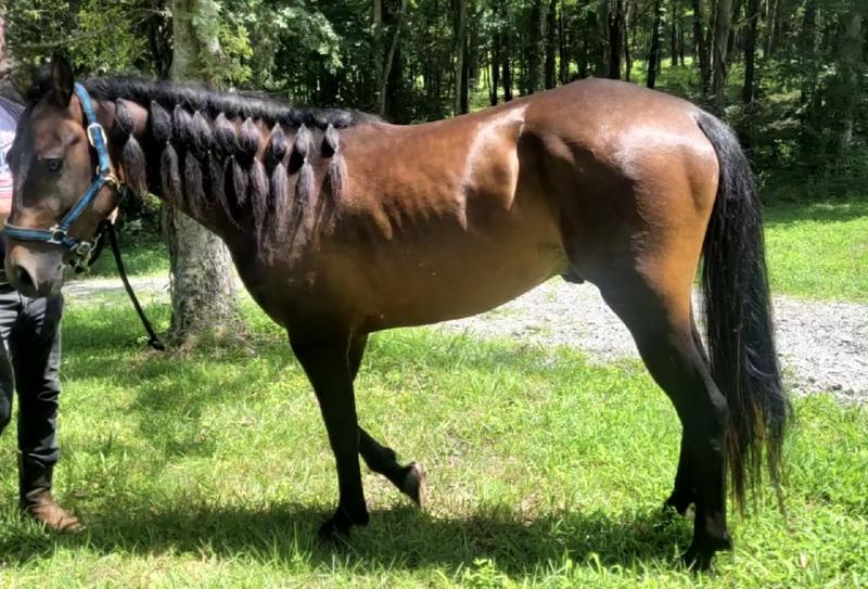 Day 1, loss muscle mass and underweight