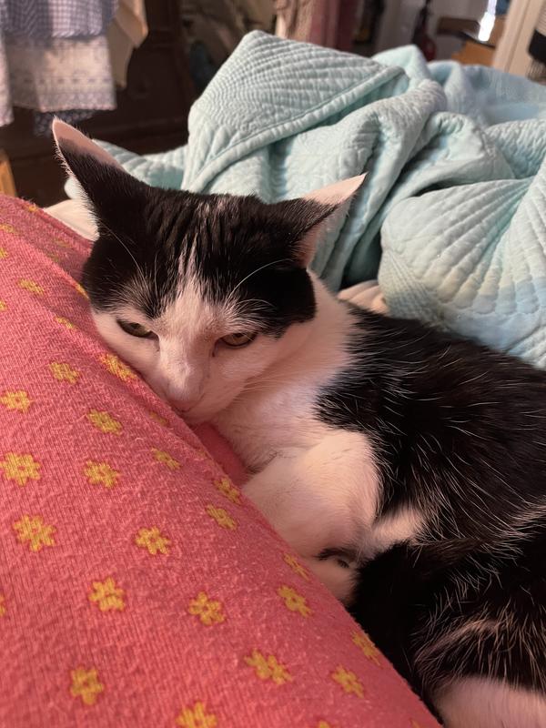 Happy and grateful baby!