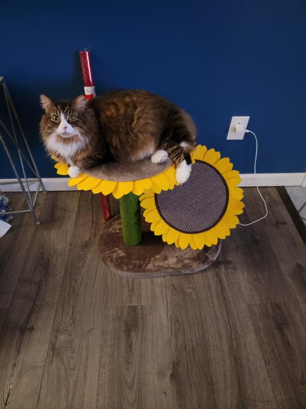 Frisco Sunflower Cat Scratching Post, Two Post with Lounger