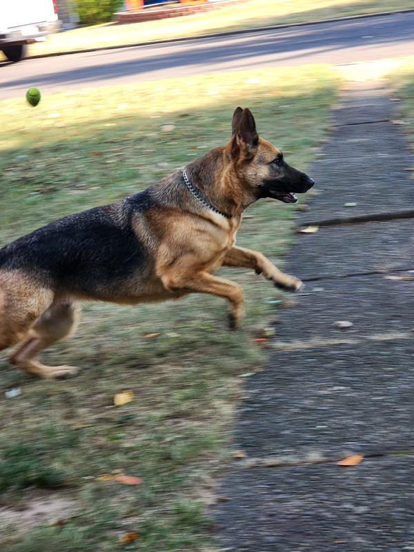 lucy says here I come