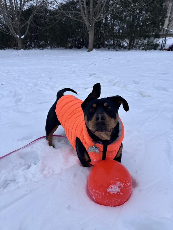 i think orange is her color