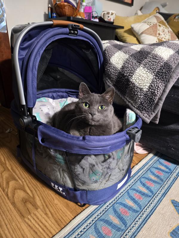 I keep a pillow inside it when it's not in use, my girl loves this cozy spot!