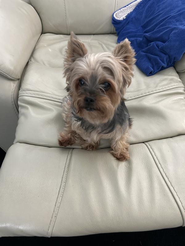 Very picky on her intake