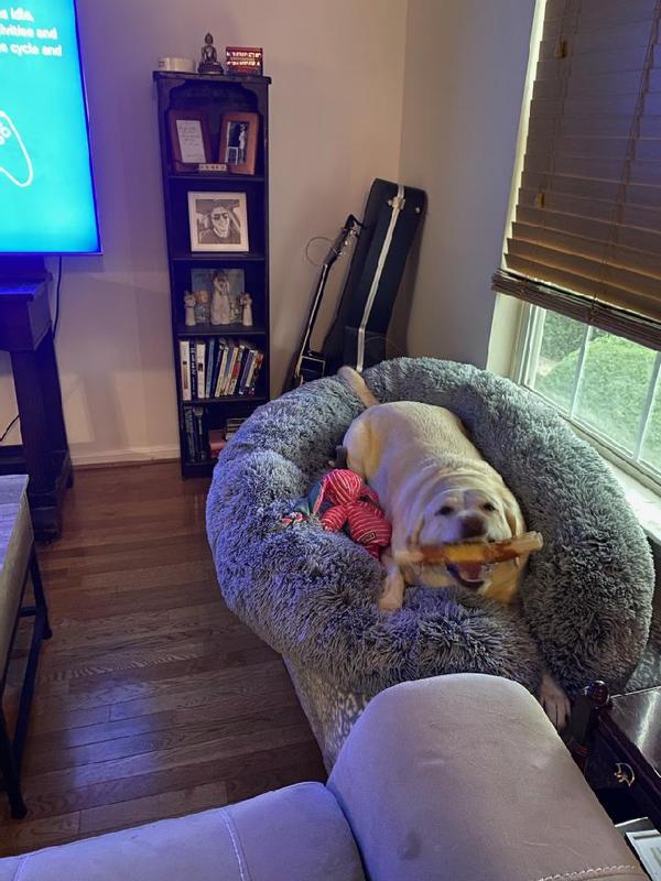 FRISCO Eyelash Cat & Dog Bolster Bed, Large, Silver