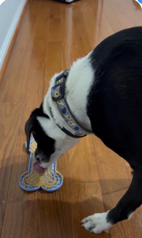 She loves it … num num