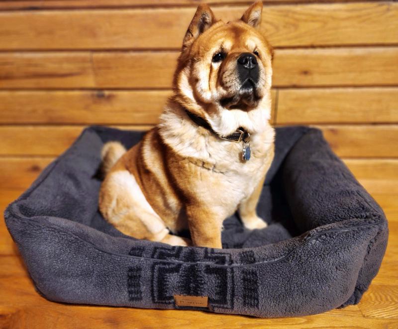 The large bed size is also a good fit for Mei.