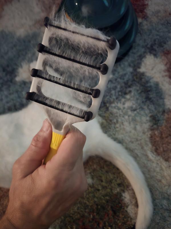 Wow! Look at the hair with just 2 strokes