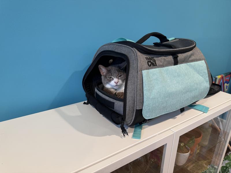 Always sleeping in it