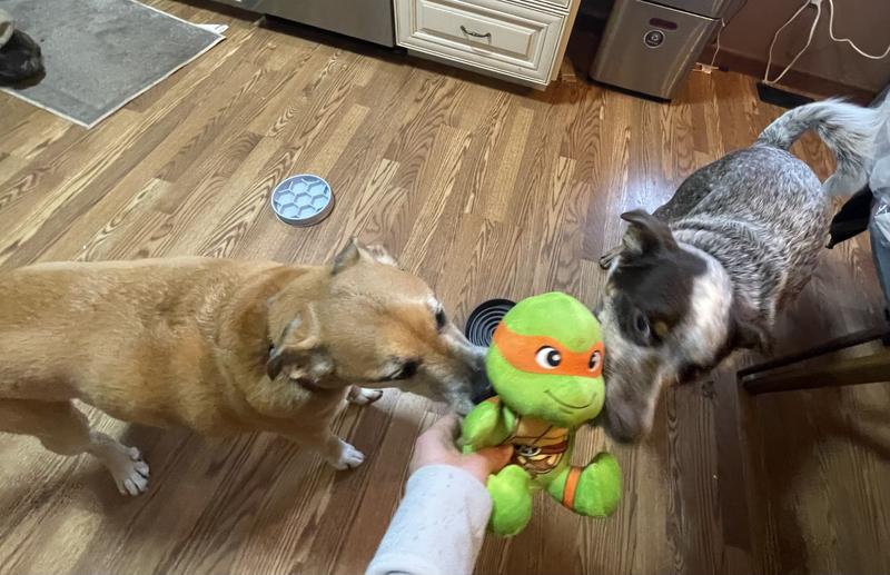 Asta and Sven both approve