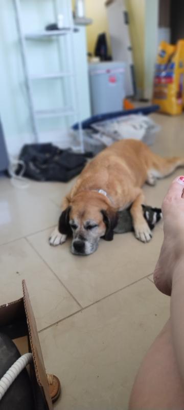 Keeping his lil friend safe