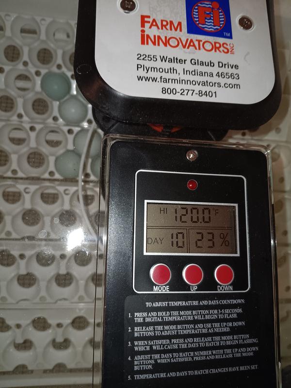 20 degrees over setting