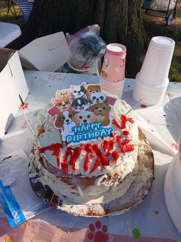 We made a dou le pooch cake with creamy vanilla pudding in the middle! People lived it,but the dogs did not? Needed more human grade flour.