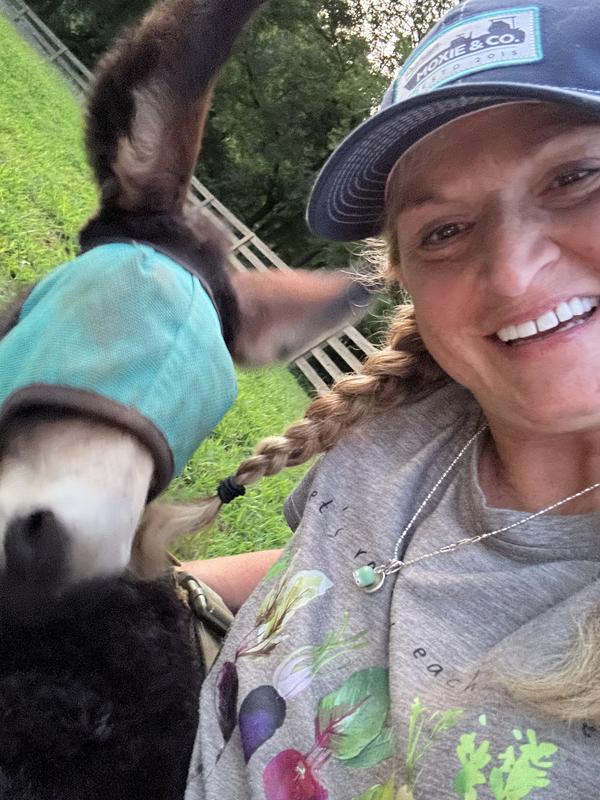 Baby Mule loves his new fly mask!