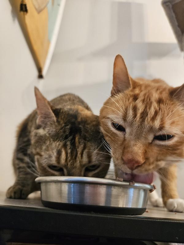 Good to the last drop!