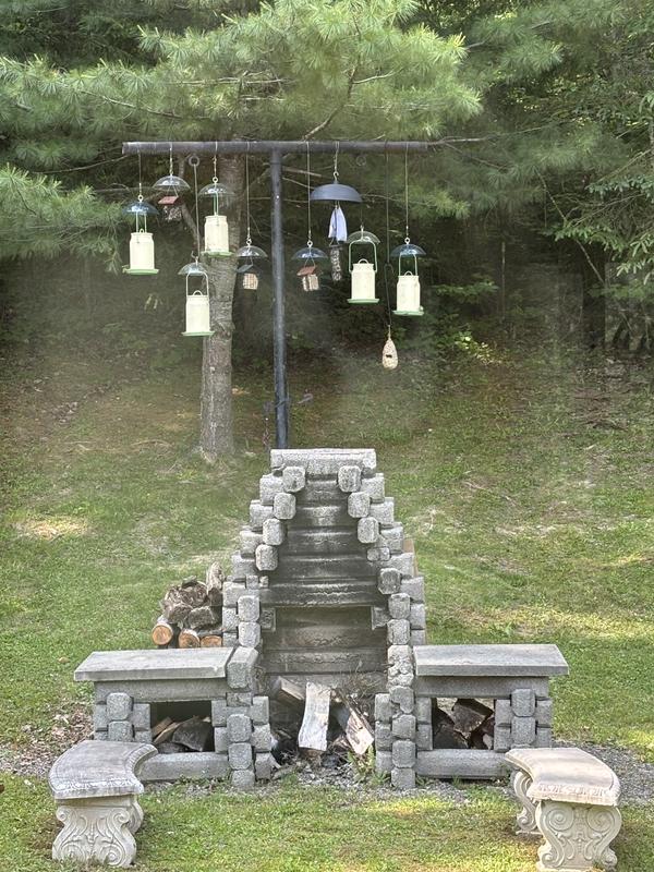 Not too fond of the squirrel's, darn varmints keep me busy 🤷‍♀️but I keep trying to make it harder for them to get at my feeders....