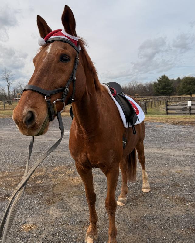 Nick loved his Santa get up.