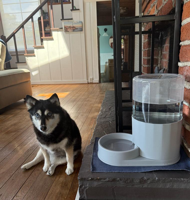 My 30 pound girl next to it. They are close to the same size.