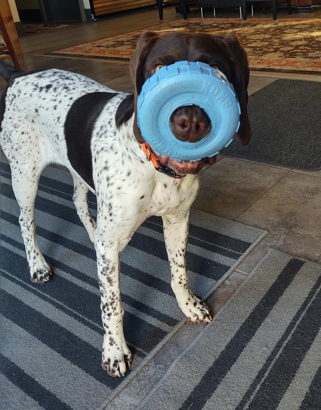 Penny loves her wheel!