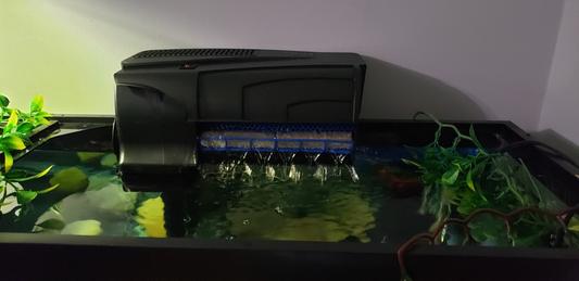 Out of Stock - AQUEON QuietFlow LED PRO Aquarium Power Filter, Size 50 ...