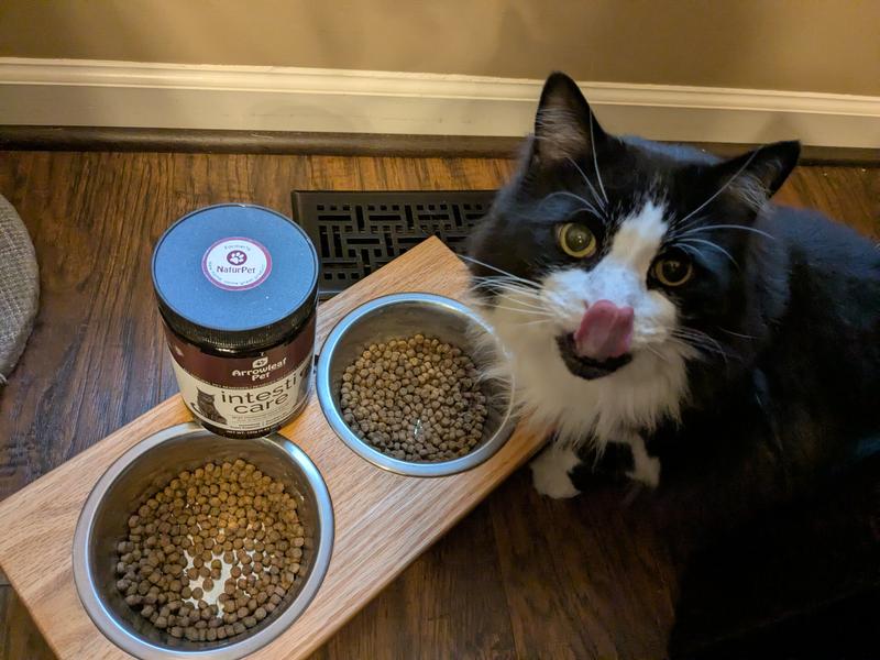 No problems getting him to eat it, usually mixed in wet food.  So that part is good!  Certainly worth trying natural remedies first!