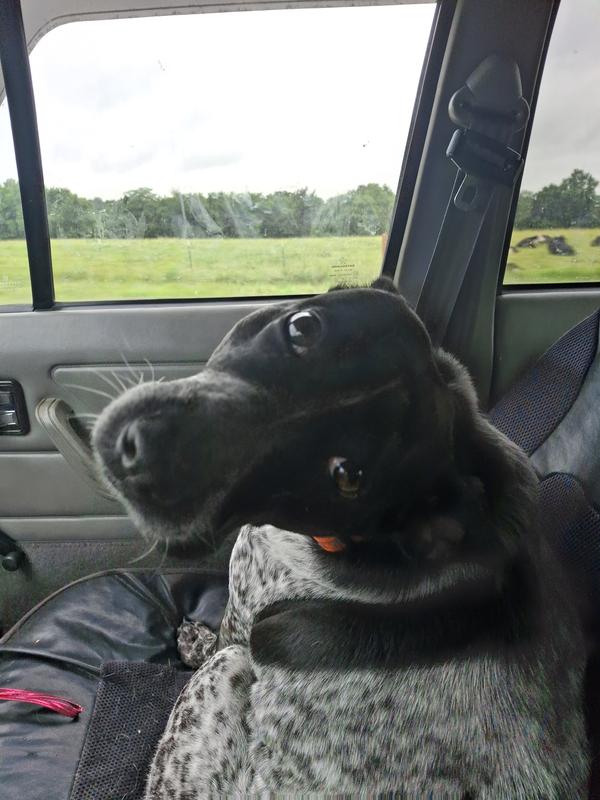 Loving road trips with family.