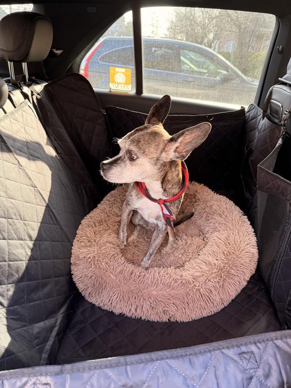 Dog bed on top of the seat cover