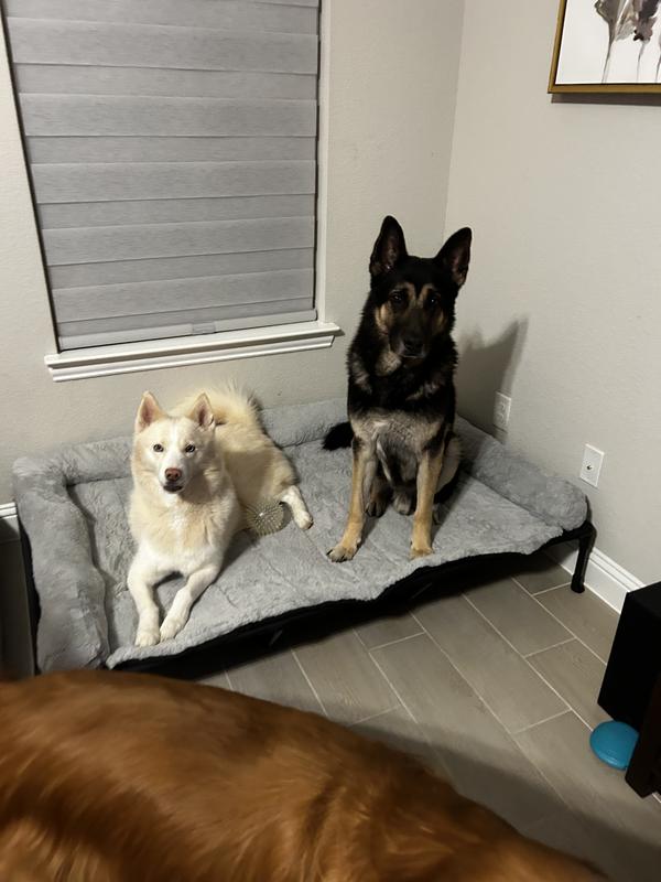 Perfect fit for my medium/large dogs that like to cuddle.