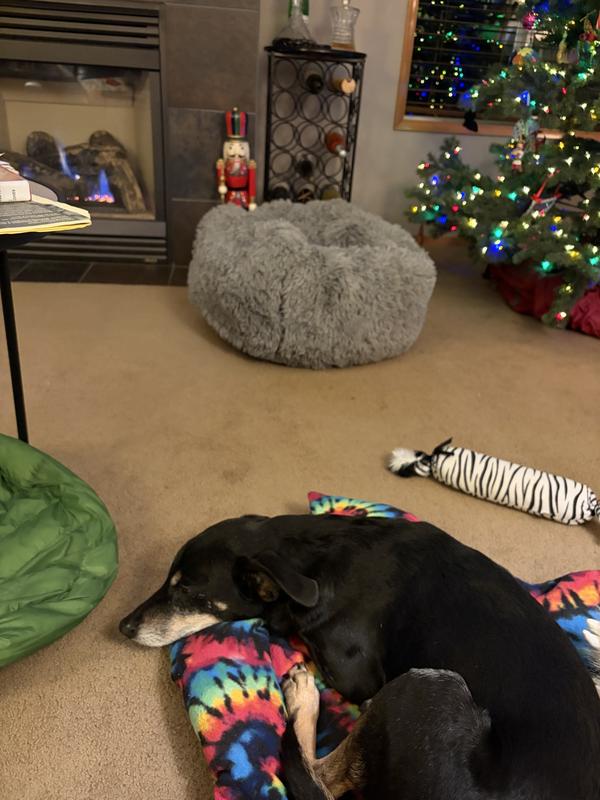 Avoiding the bed, see how small and high it is?