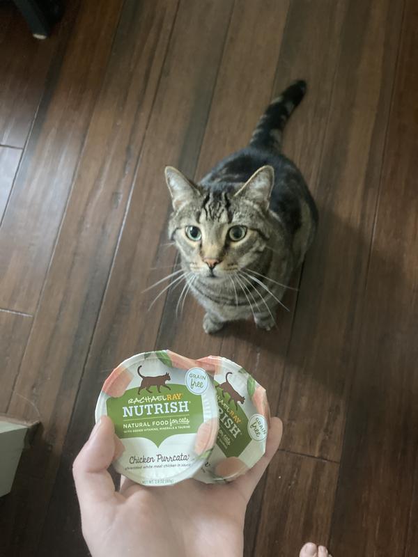 Meeko is begging for more Racheal Ray Nutrish wet food!