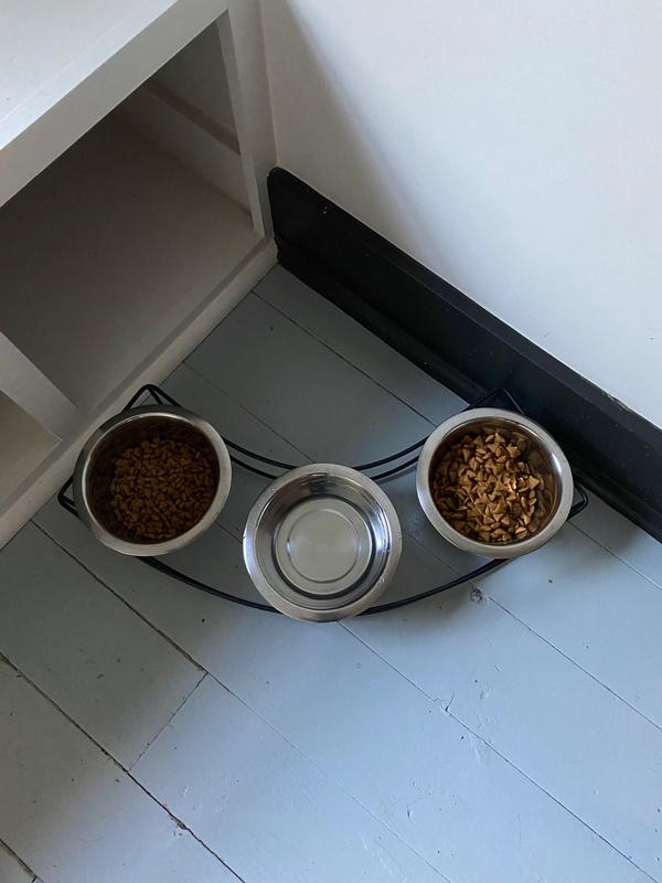 Two kinds of kitty kibble and water in the middle. 4" size works great for all my cats, even the one with no teeth who has to scoop up his kibble (he gets wet food too, but loves his kibble).