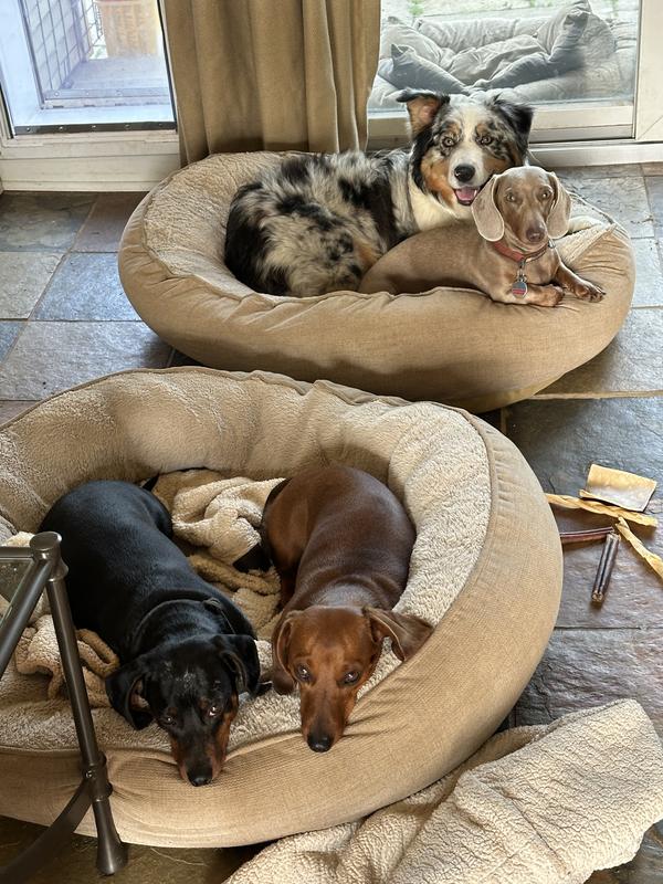 The gang’s all here!